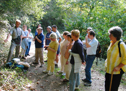 Dirigeants et b&eacute;n&eacute;voles de l'association, &agrave; l'&eacute;coute du chant des grilons
